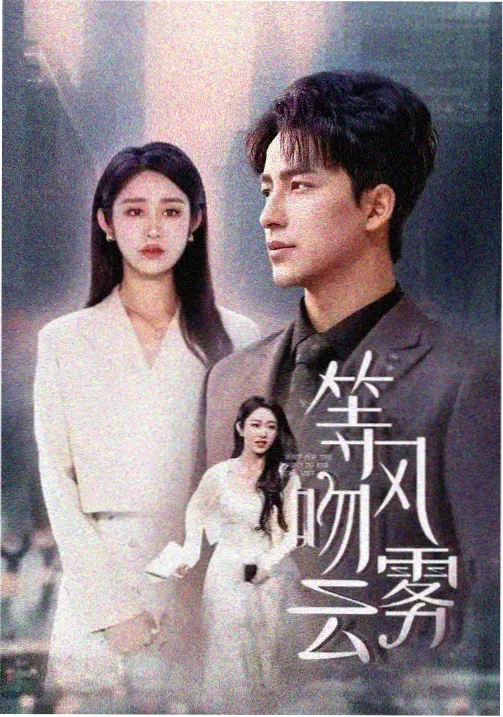 第九个证人 免费电视剧