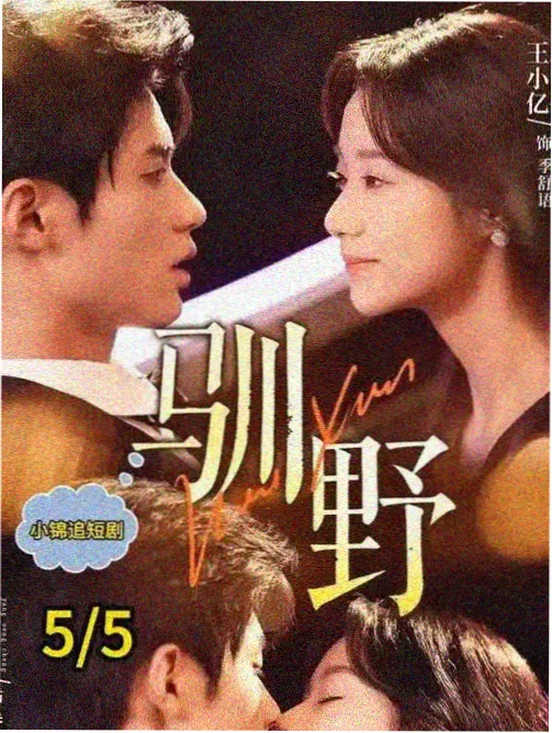 边城来信 年代剧在线看